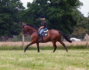 Ex-racer, Mr Oosh