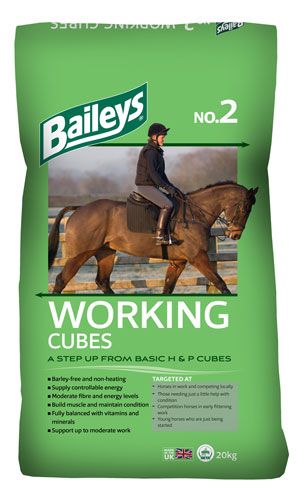 No. 2 Working Cubes