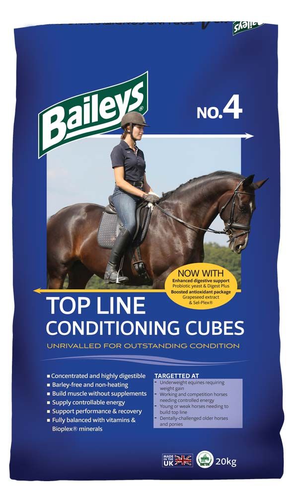 No. 4 Top  Line Conditioning Cubes