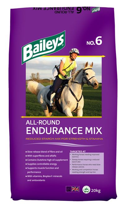 No. 6 All-Round Endurance Mix