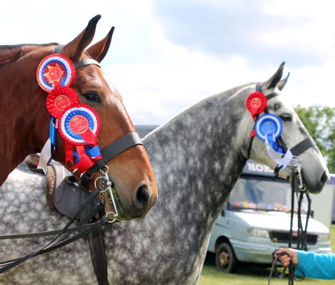 Surrey County Show 2019