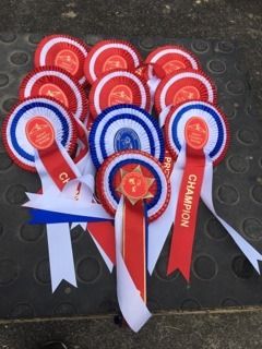 Kent County Show 2019