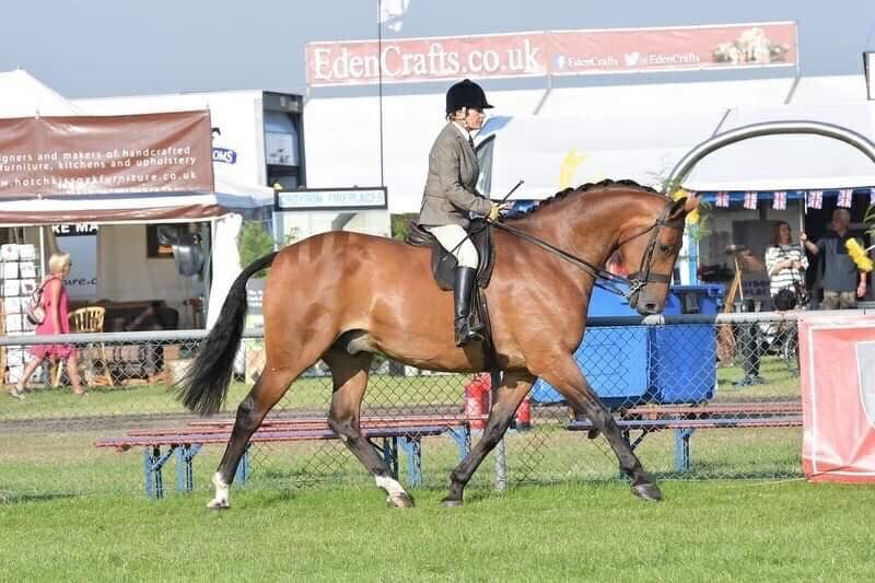 From Edenbridge and Oxted to Bucks County Show