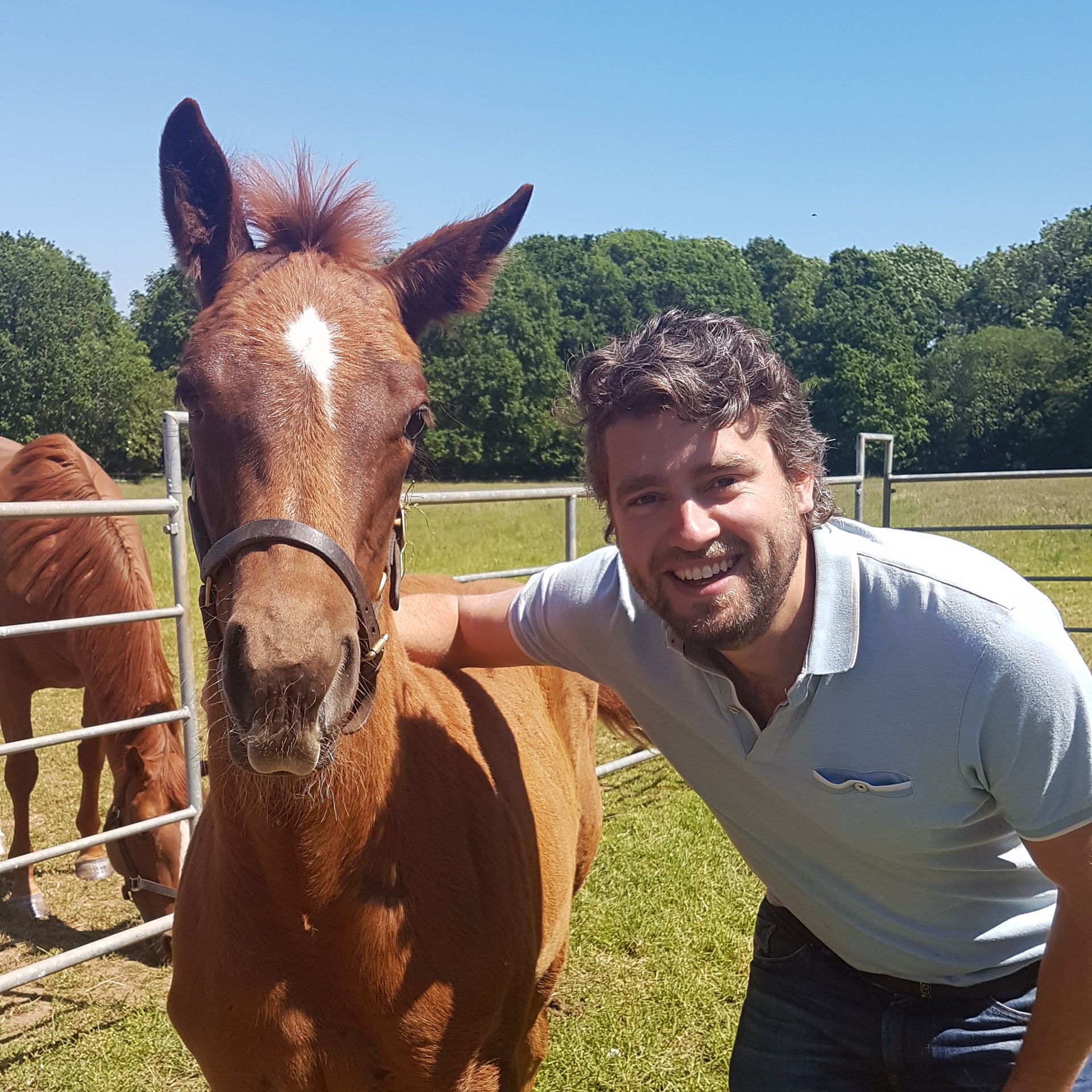 Simon Venner - Sales Director/Thoroughbred