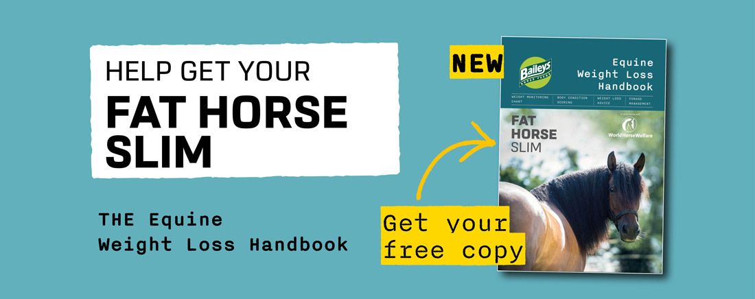 Equine Weight Loss Handbook