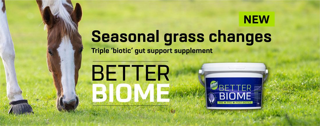 Better Biome seasonal grass changes Better Biome seasonal grass changes
