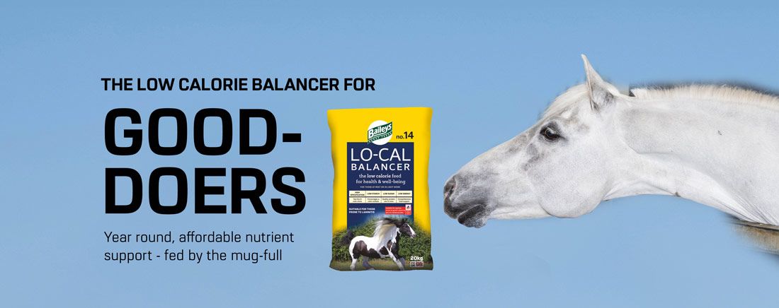 Lo-Cal Balancer for good-doers Lo-Cal Balancer for good-doers